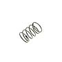 Molla a Pressione STROBEL # 00161.0087 (Originale)