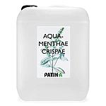 Eau de Repassage à la Menthe Verte 5000 ml – AQUA MENTHAE CRISPAE – PATIN-A