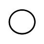 O Ring RASOR # FP 86021 (Genuine)